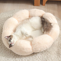 Pet Supplies