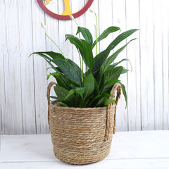 Creative Woven Rattan Flower Basket