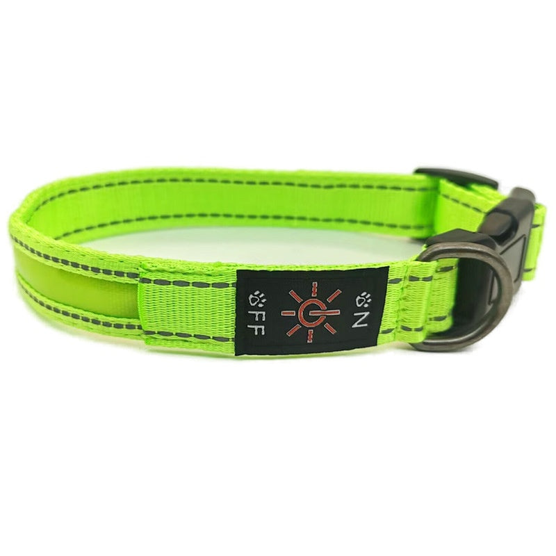 Reflective LED Dog Collar w/ Leather & Ribbon Design