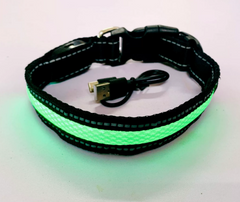 Reflective LED Dog Collar w/ Leather & Ribbon Design