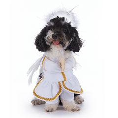 Spooky Pup Parade Costumes