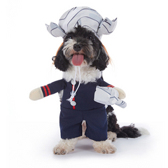 Spooky Pup Parade Costumes