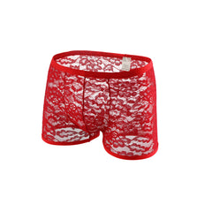 Men's Lace Pattern Mesh Briefs