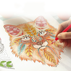 Colored Pencil Set