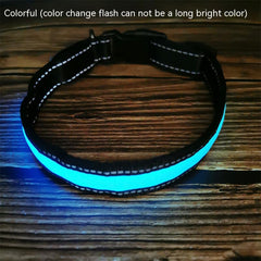 Reflective LED Dog Collar w/ Leather & Ribbon Design