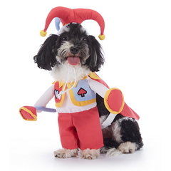 Spooky Pup Parade Costumes