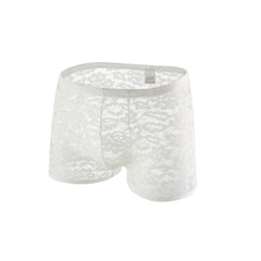 Men's Lace Pattern Mesh Briefs