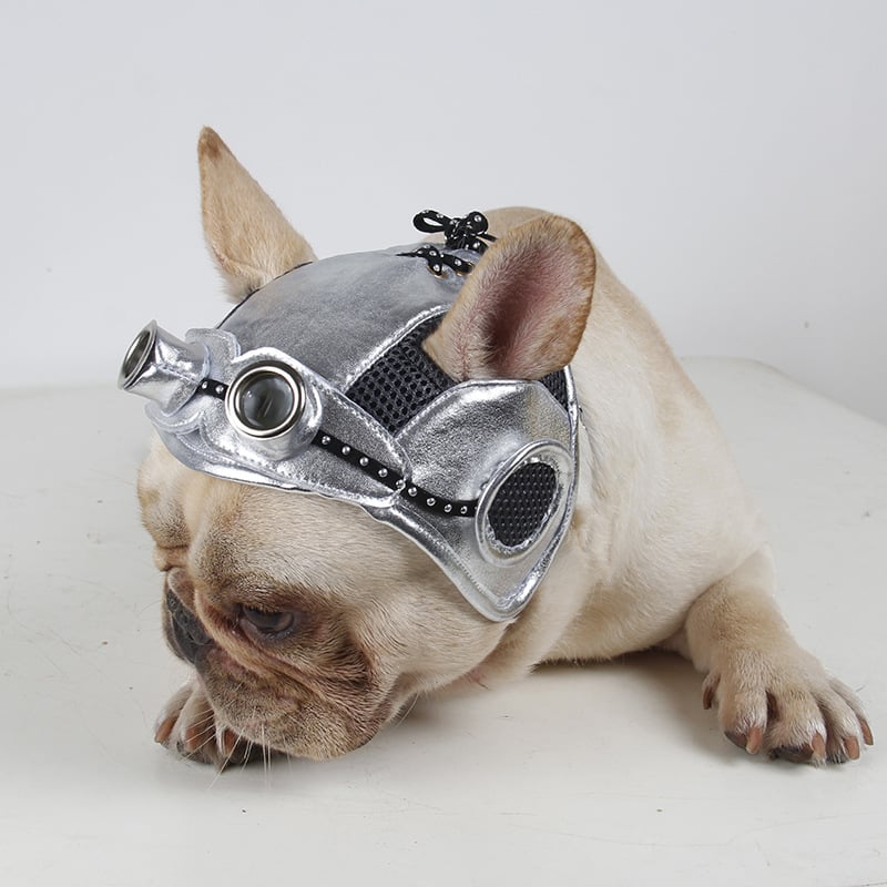 Pet Party Head Dress