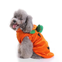 Pooch Halloween Parade Costumes