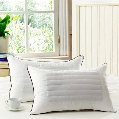 Buckwheat Dual-Purpose Health Cervical Spine Pillow