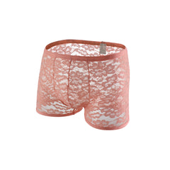 Men's Lace Pattern Mesh Briefs