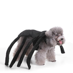 Pooch Halloween Parade Costumes