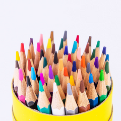 Colored Pencil Set
