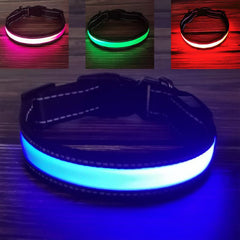 Reflective LED Dog Collar w/ Leather & Ribbon Design