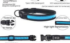 Reflective LED Dog Collar w/ Leather & Ribbon Design