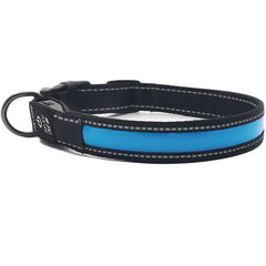 Reflective LED Dog Collar w/ Leather & Ribbon Design