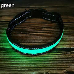 Reflective LED Dog Collar w/ Leather & Ribbon Design