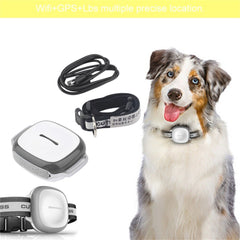 Pet Locator Device