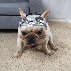 Pet Party Head Dress