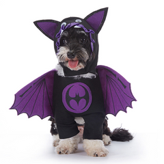 Spooky Pup Parade Costumes