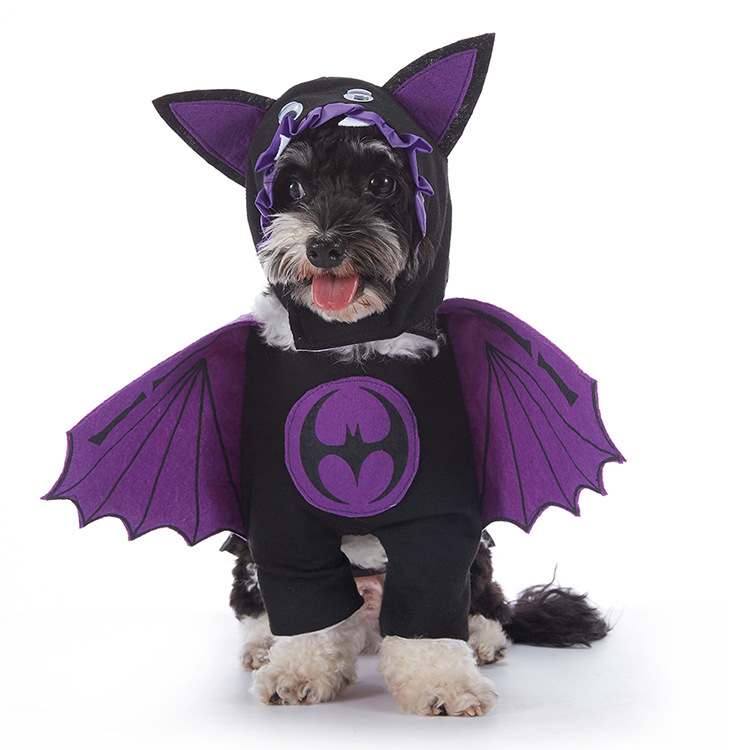 Spooky Pup Parade Costumes