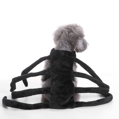 Pooch Halloween Parade Costumes