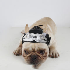 Pet Party Head Dress
