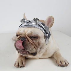 Pet Party Head Dress