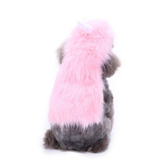 Pooch Halloween Parade Costumes