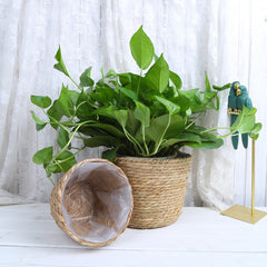 Creative Woven Rattan Flower Basket