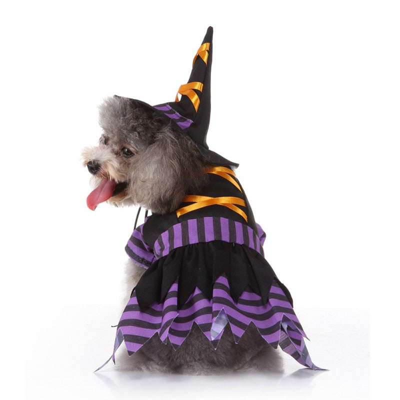 Halloween Witch Pet Costumes