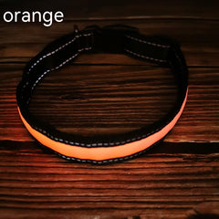 Reflective LED Dog Collar w/ Leather & Ribbon Design